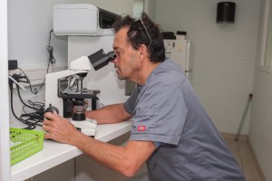 Dr Crinière recherche au microscope