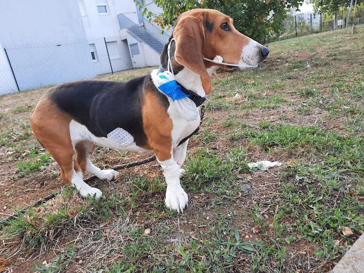 68278906c4211ba254737b9be6d94936.0