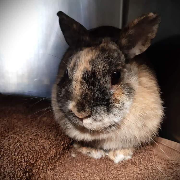 FB_IMG_1664837491120