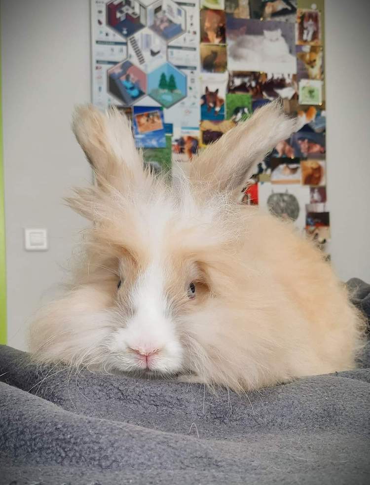 FB_IMG_1664837646489