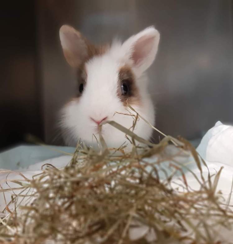 FB_IMG_1664837683865