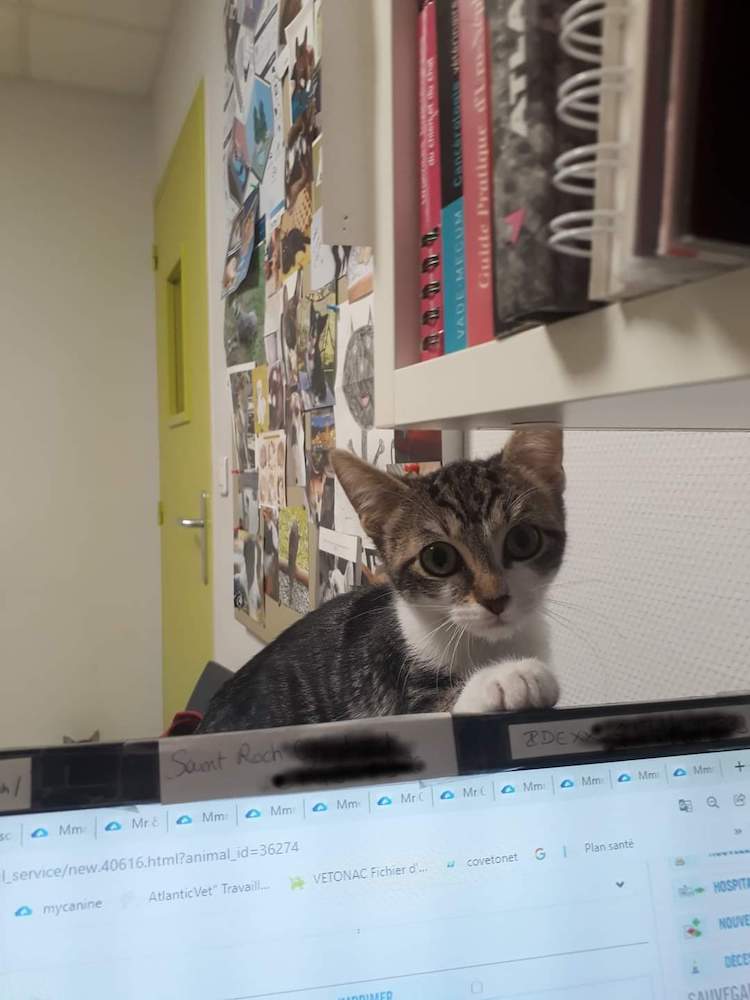 FB_IMG_1664837728487