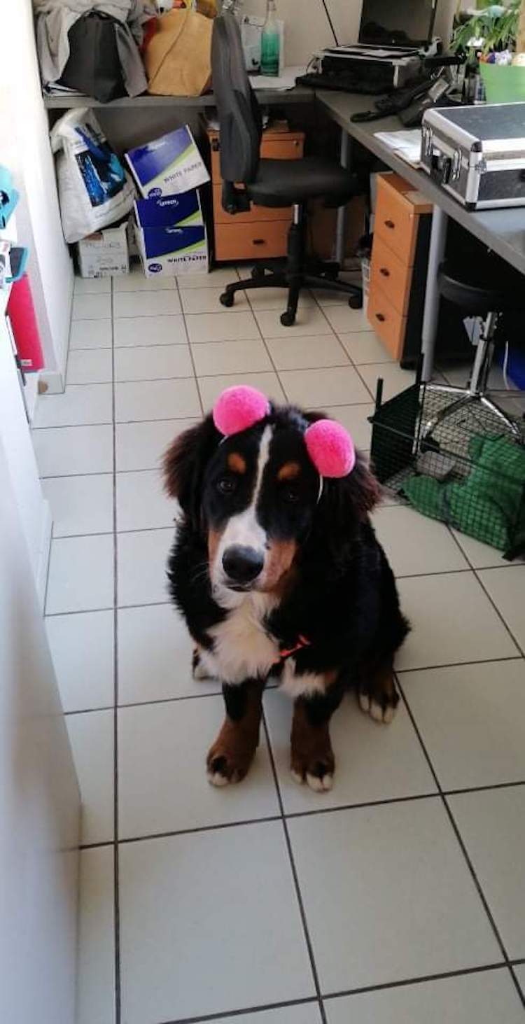 FB_IMG_1664837743165