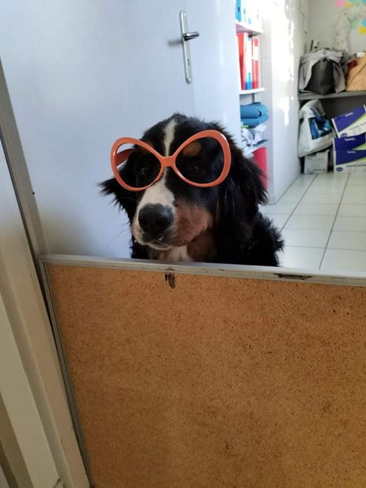 FB_IMG_1664837752421