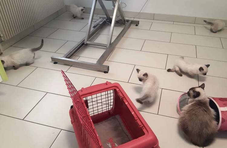 FB_IMG_1665317436450