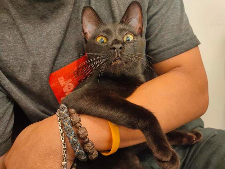 FB_IMG_1665317438368