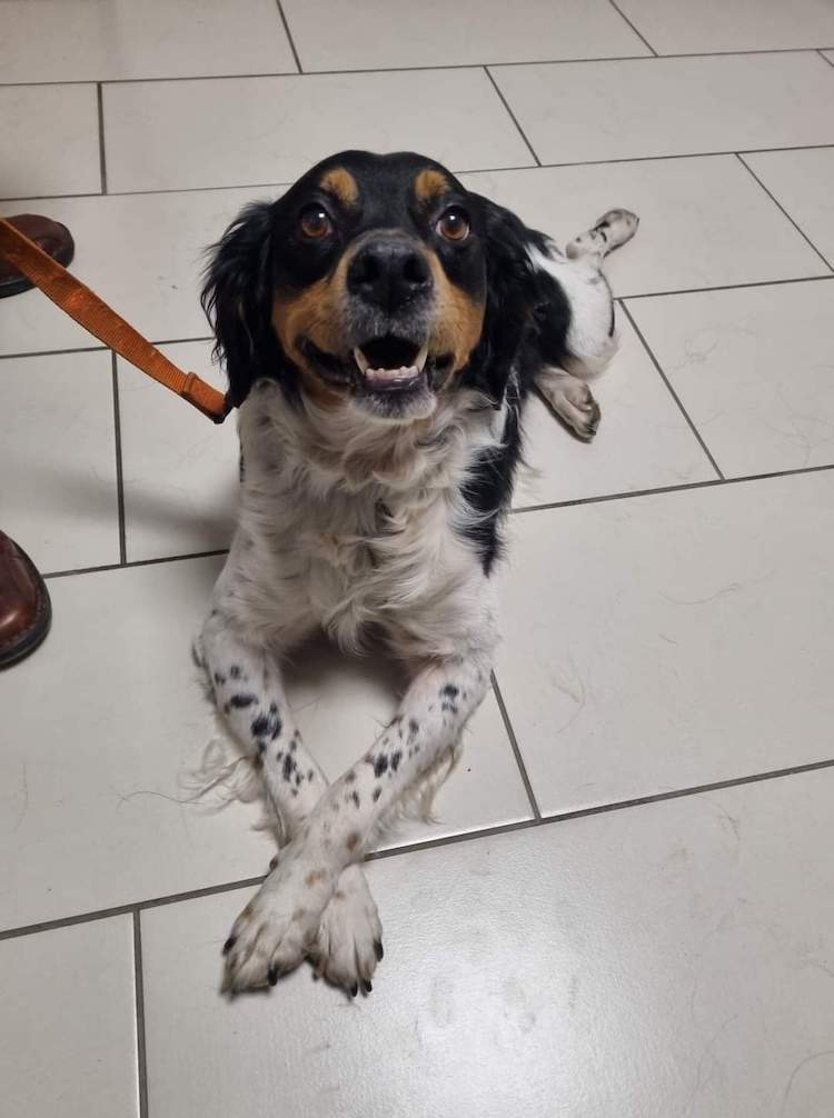 FB_IMG_1665317464109