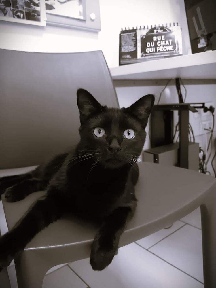 FB_IMG_1665317482777