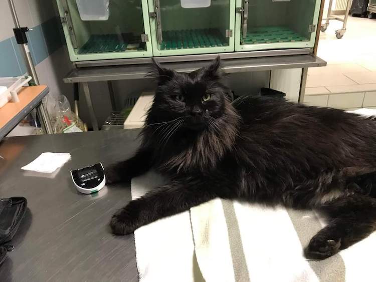 FB_IMG_1665345989856