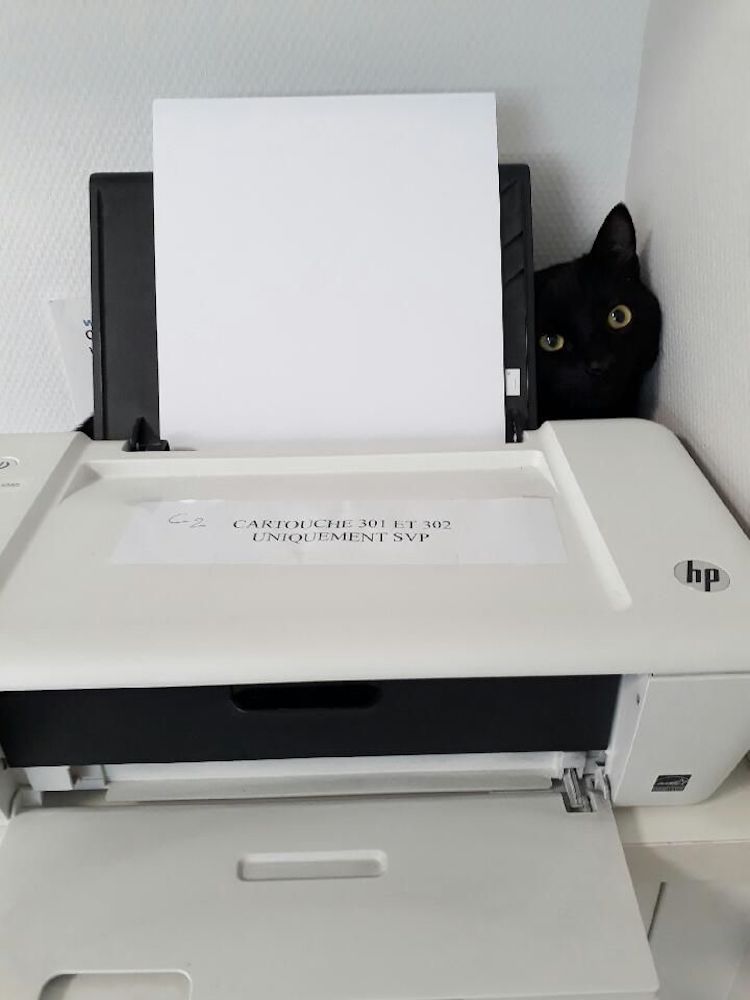 Resized_20180628_112325