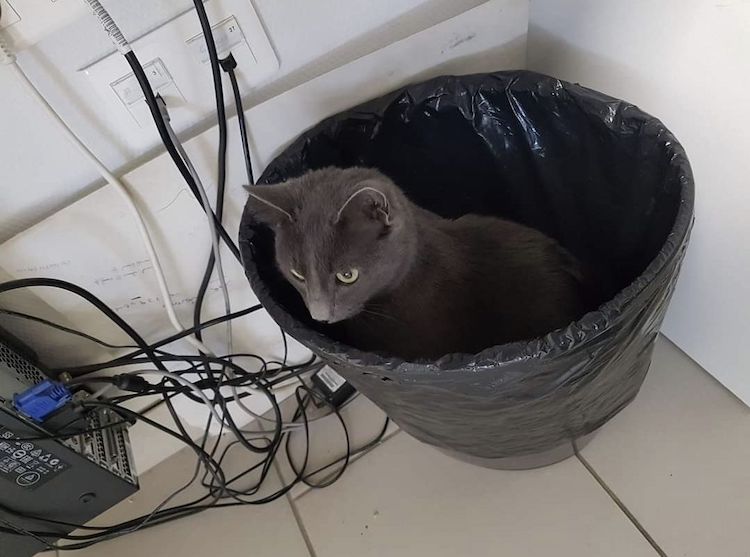 Screenshot_20221004_010436