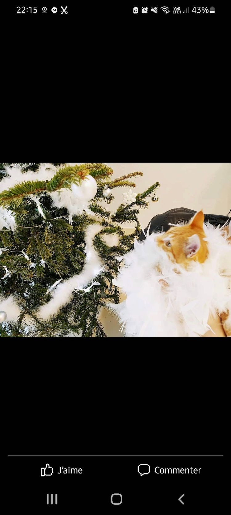 Screenshot_20221009-221506_Facebook