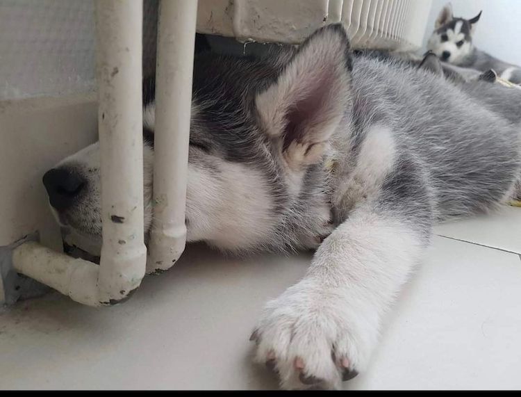 Screenshot_20221009-222140_Facebook