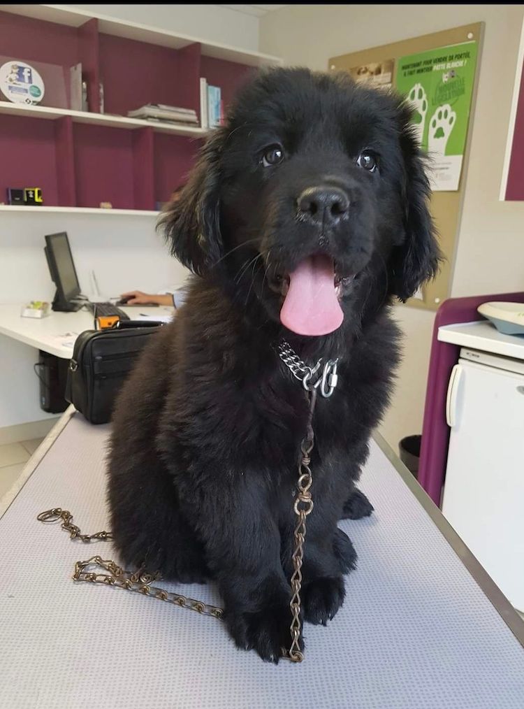 Screenshot_20221009-222209_Facebook