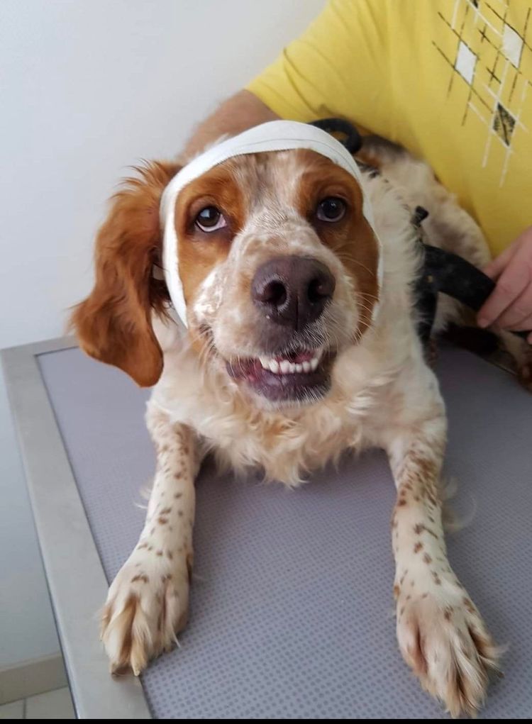 Screenshot_20221009-222247_Facebook