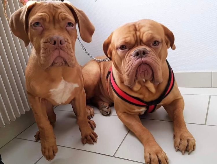 Screenshot_20221009-222342_Facebook