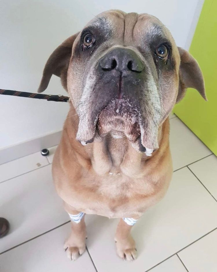 Screenshot_20221009-222435_Facebook