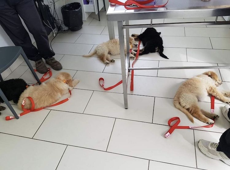 Screenshot_20221009_222056