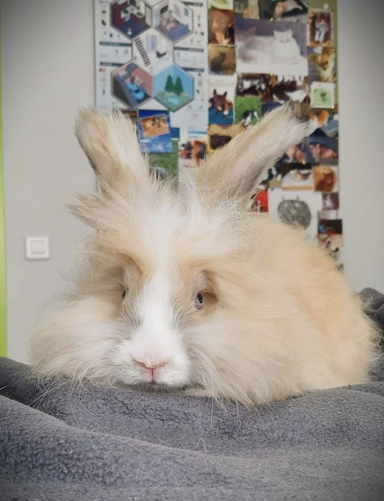 Screenshot_20230108_122323_Facebook