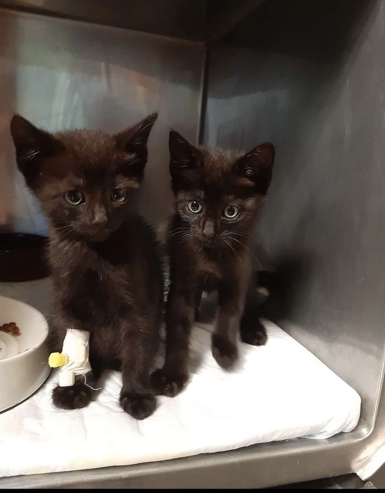 Screenshot_20230108_122359_Facebook