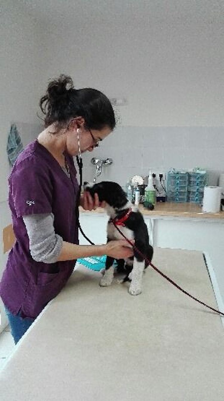 15749916_10211696823041861_34109548_n