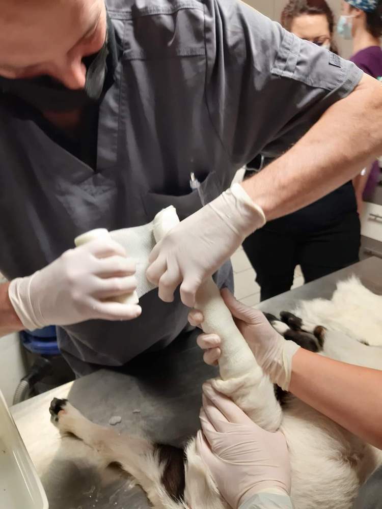 FB_IMG_1664837607748