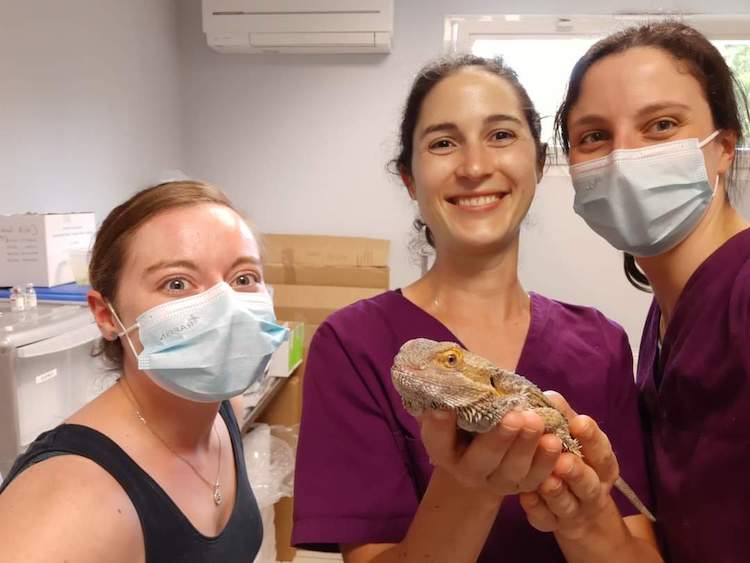 FB_IMG_1664837627691