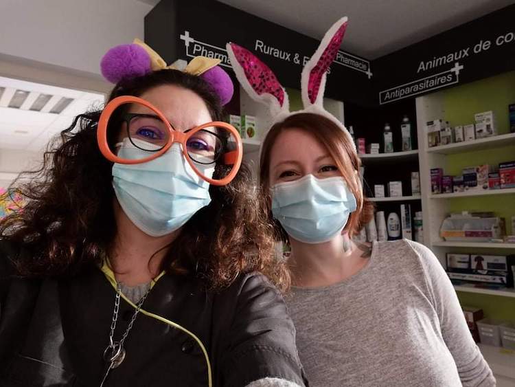 FB_IMG_1664837739096