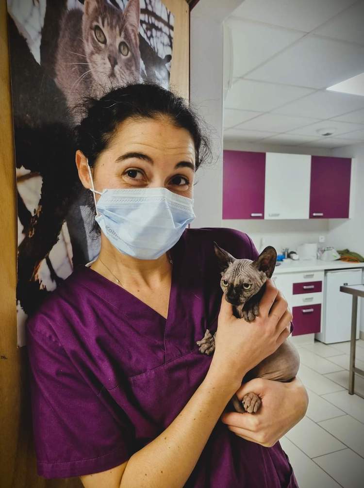 FB_IMG_1665317462404