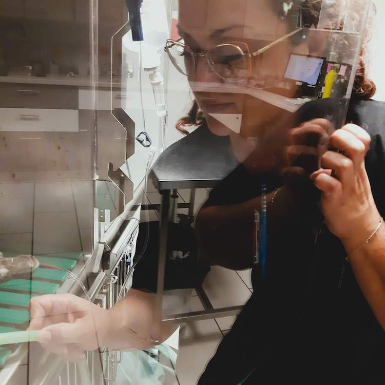 FB_IMG_1673176425443