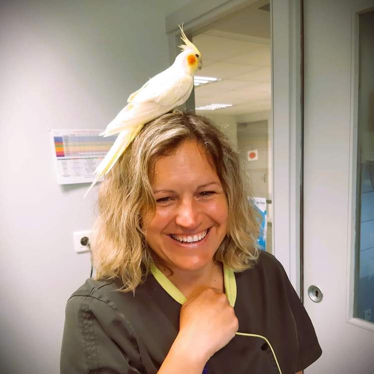 FB_IMG_1673176427595