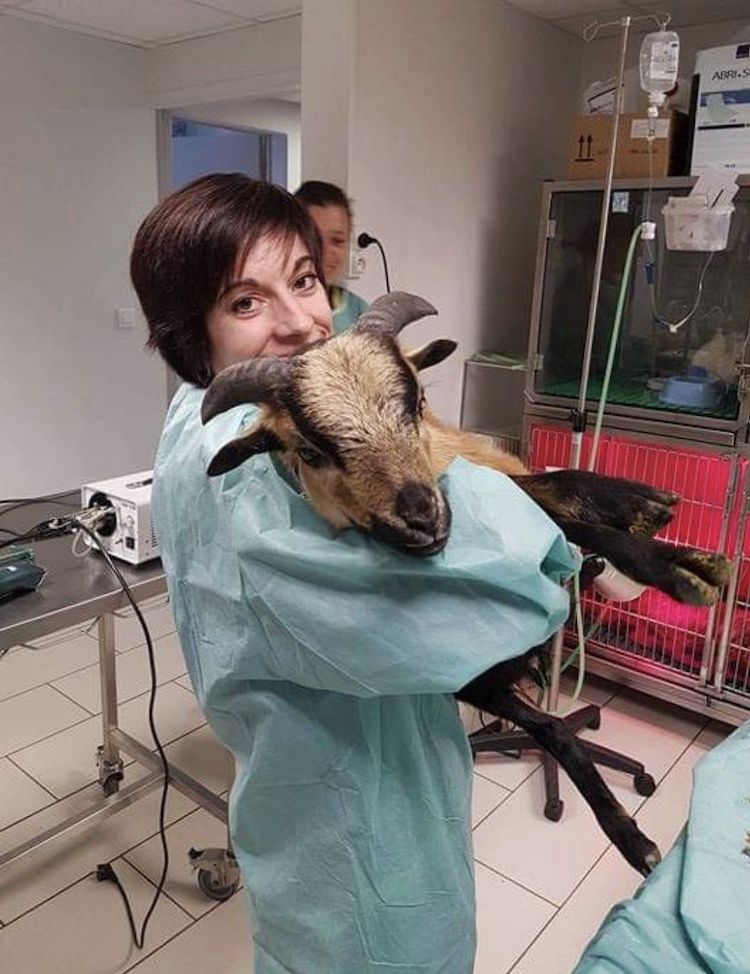 Screenshot_20221009_221651