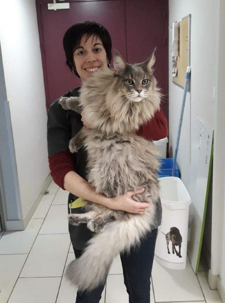 Screenshot_20221009_222008