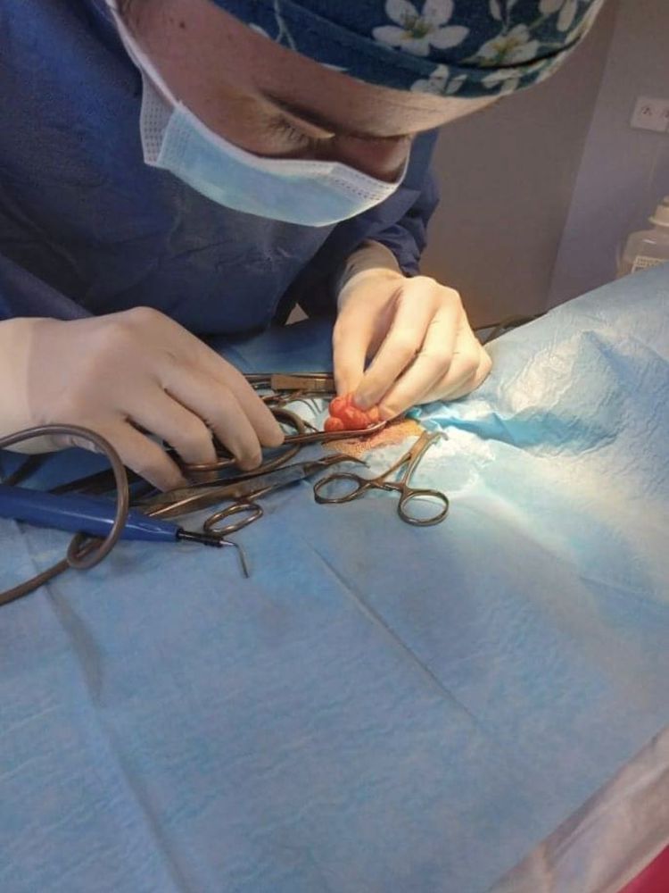 Screenshot_20230108_122244_Facebook